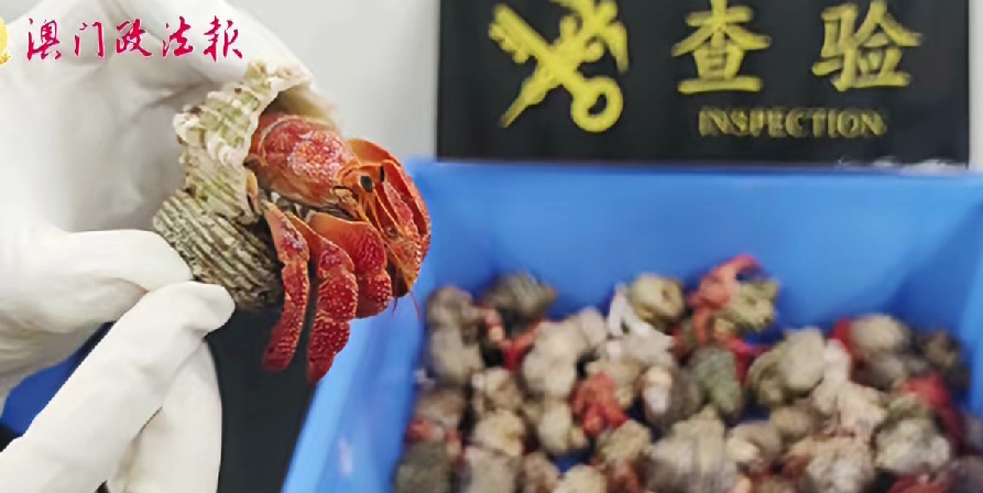 拱北海關截獲違禁動植物產品