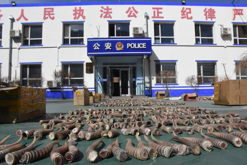 安檢牽出“案中案”     ——警方摧毀跨境犯罪暗網始末   